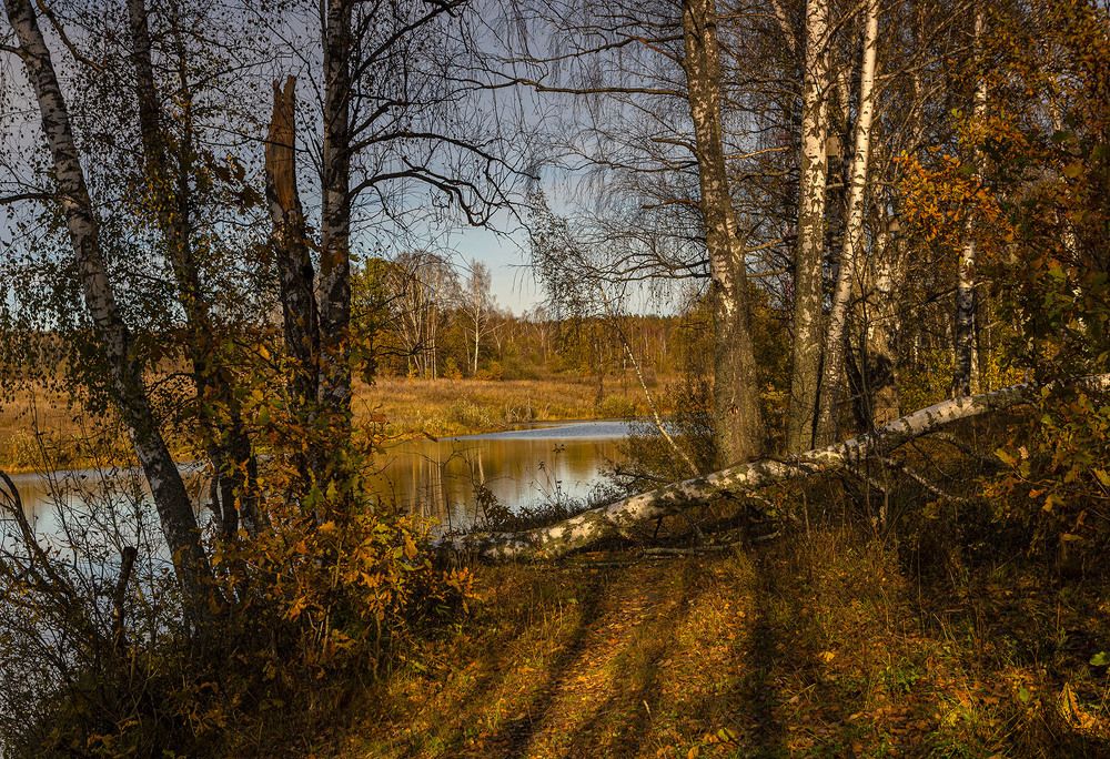Фотография автора 