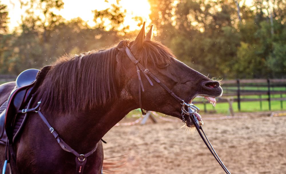 Photograph by Екатерина Лебедева