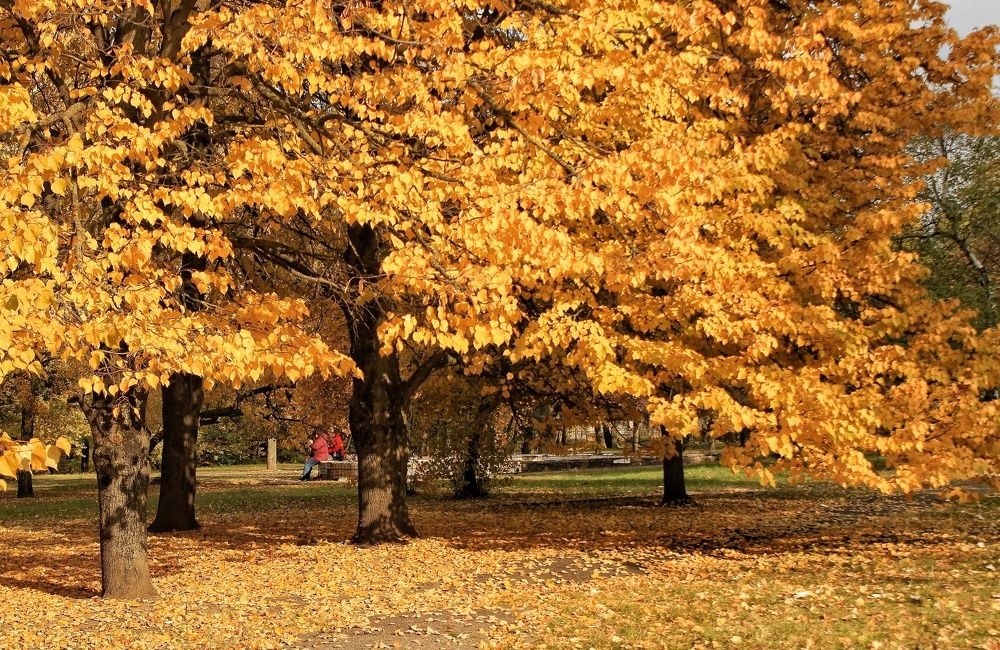 Photograph by Sergey Velichko