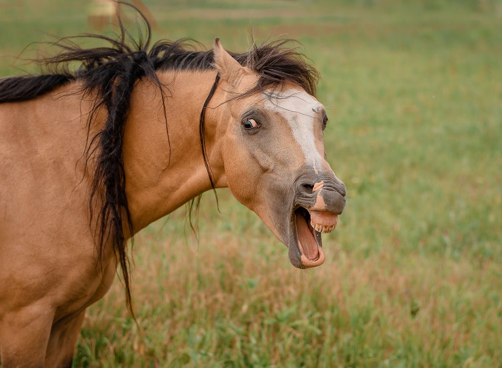 Photograph by Екатерина Лебедева