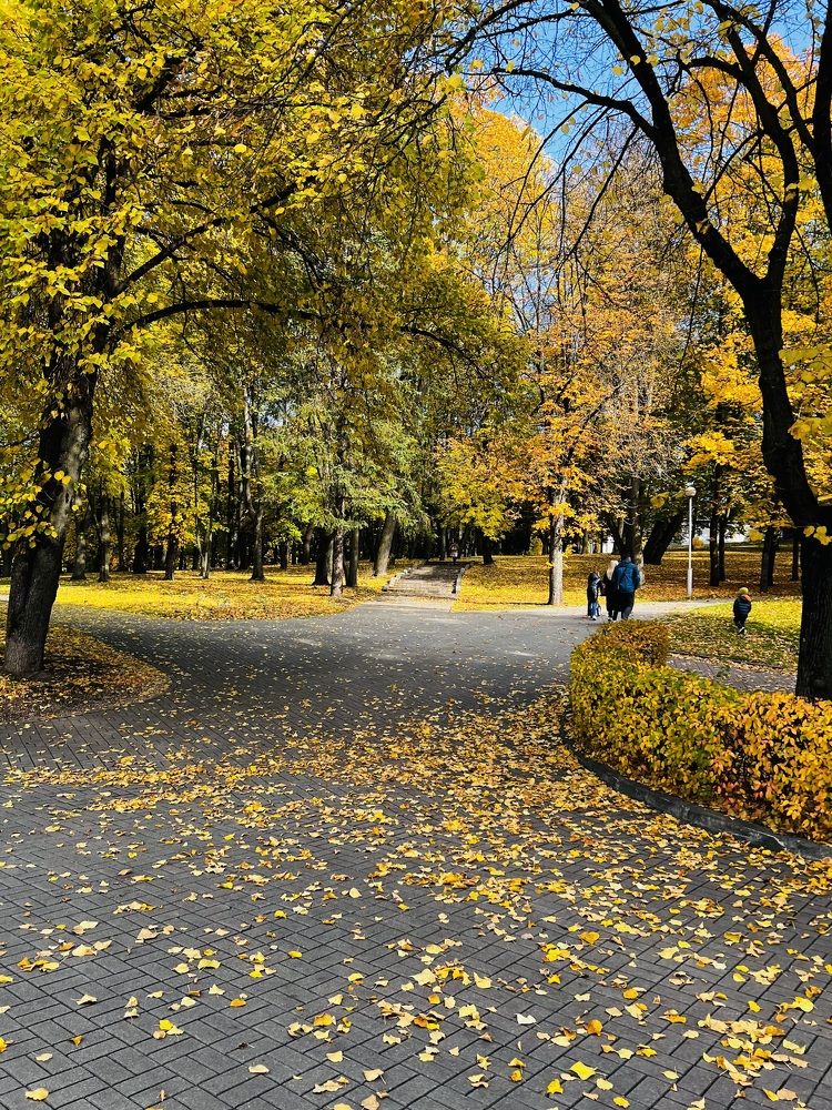 Photograph by Елена Зенкевич
