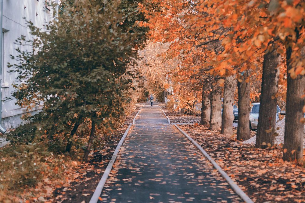 Photograph by Дмитрий Солодухин