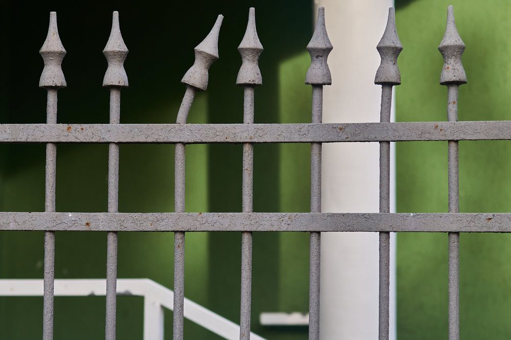 Photograph by Дмитрий Солодухин