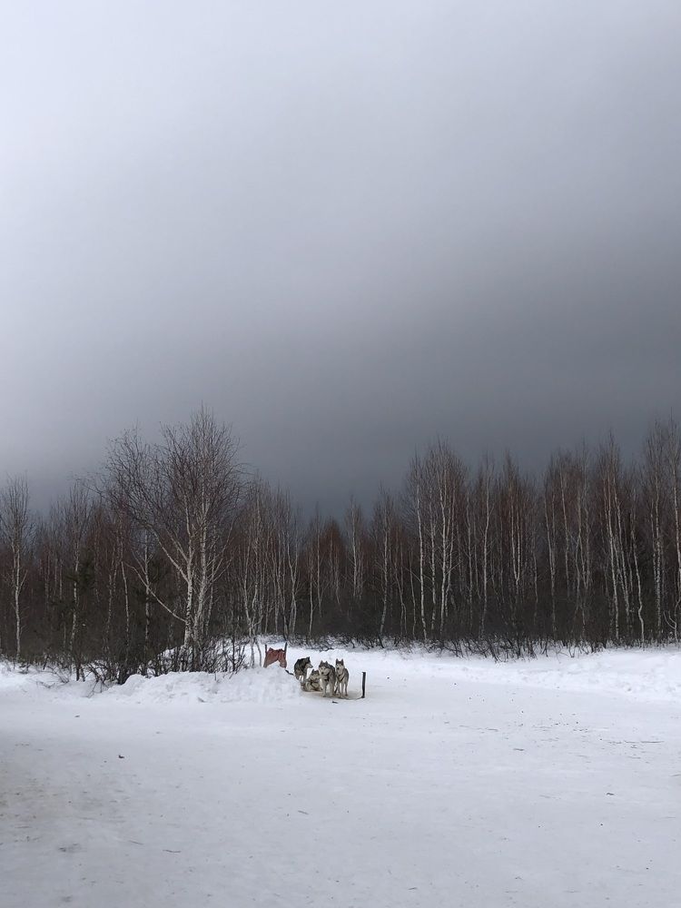 Photograph by Майра Али