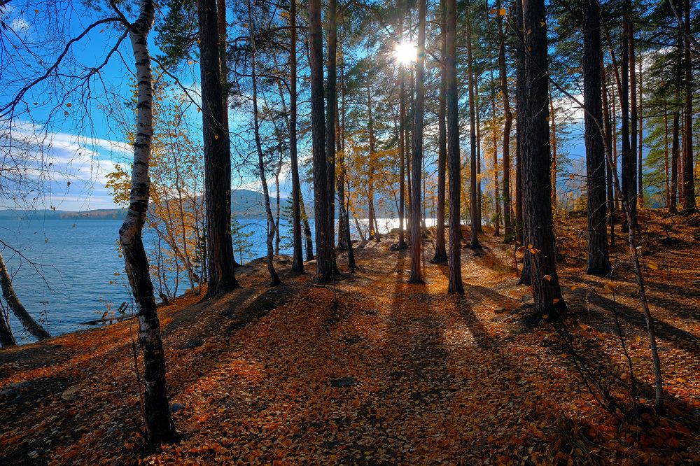 Photograph by Гудков Игорь