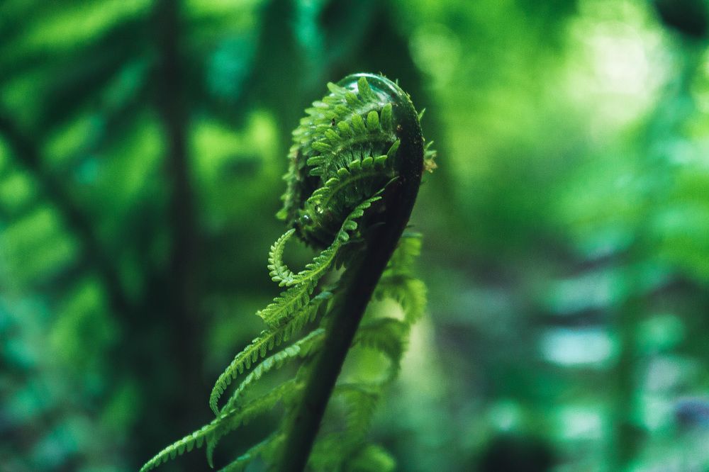 Photograph by Ольга Сельницына