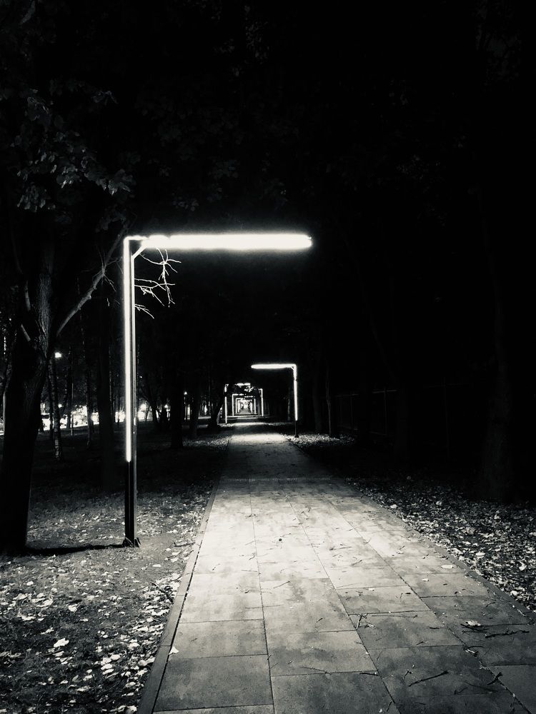 Photograph by Svet