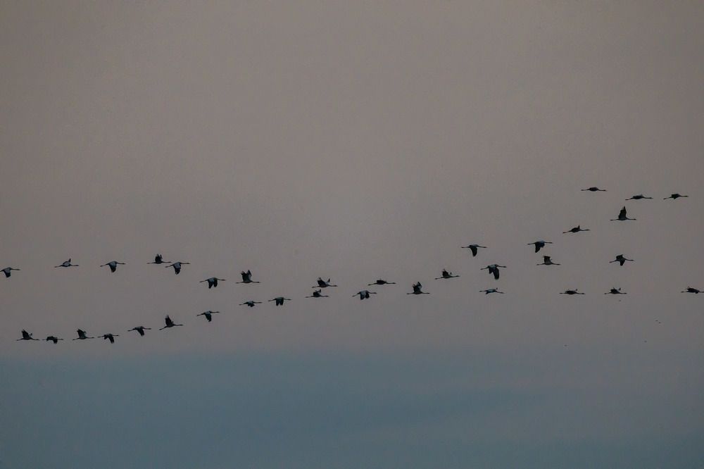 Photograph by Сергей Улыбышев