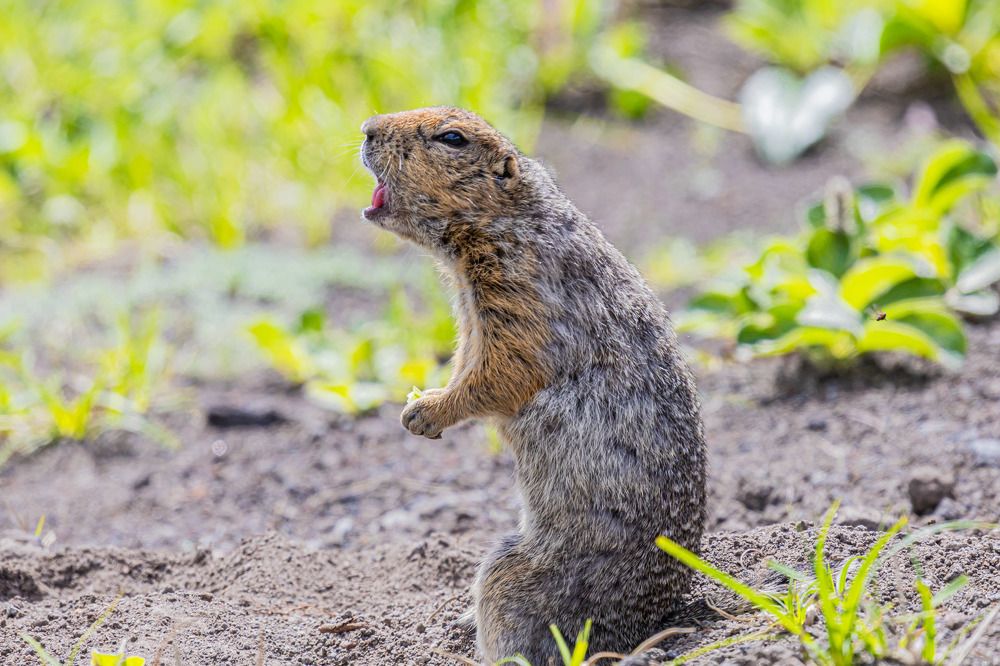 Photograph by Сергей Улыбышев