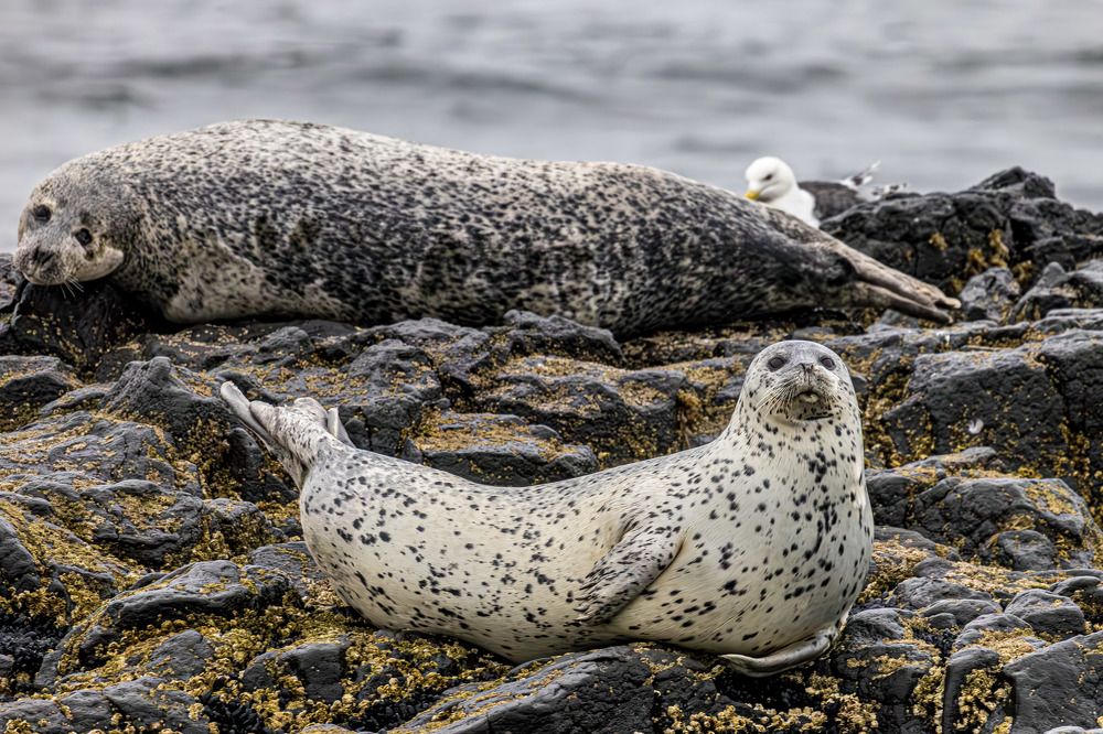 Photograph by Сергей Улыбышев
