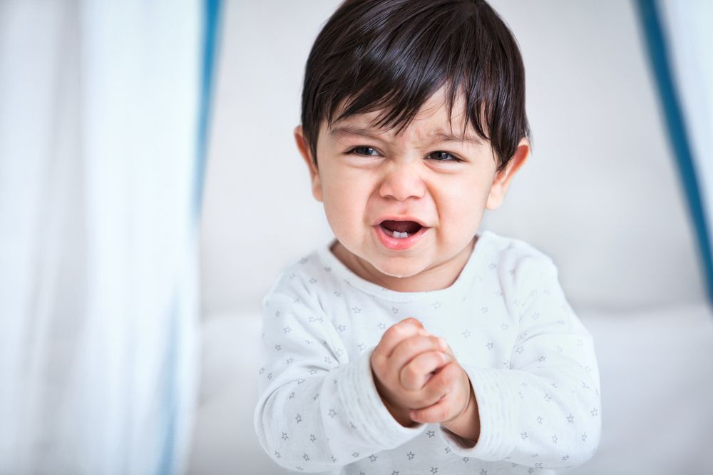 Photograph by Beheshti Seyed Ahmad