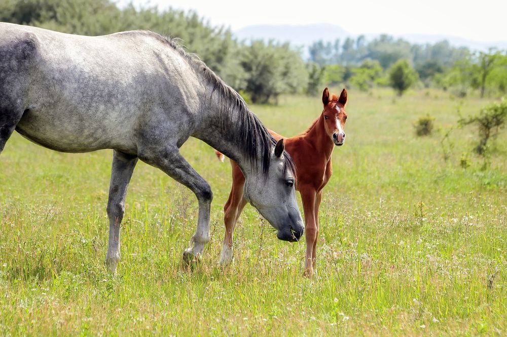 Photograph by Ольга Сельницына