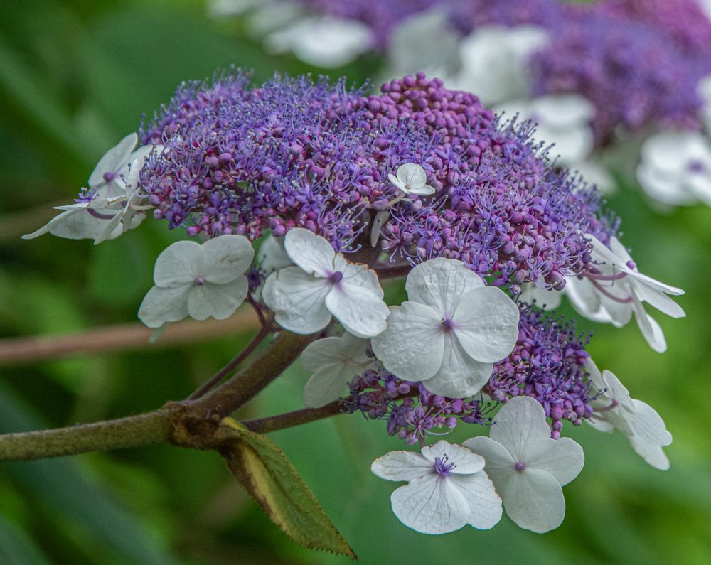 Photograph by Савчук Сергей