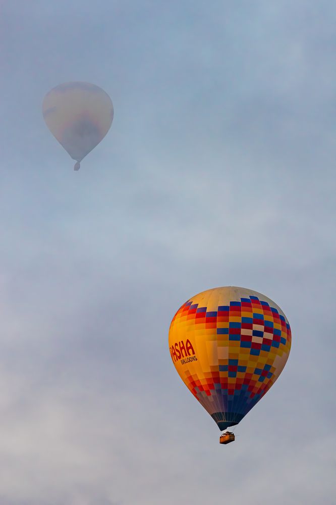 Photograph by Elena Levi