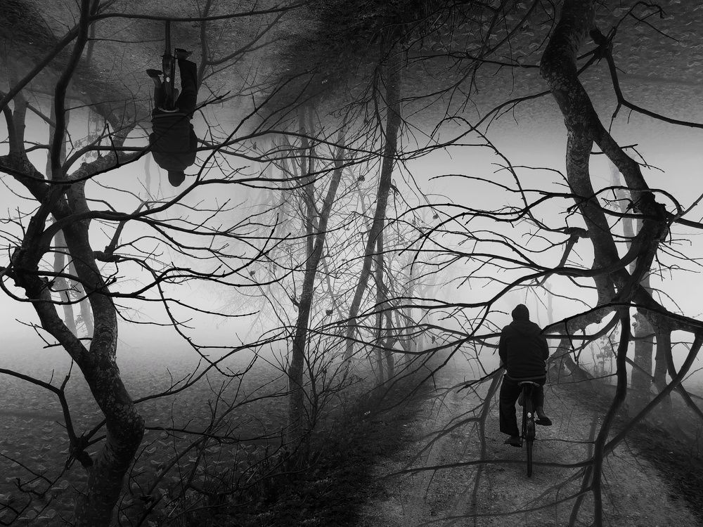 Фотография автора PRADIPTAMOY PAUL