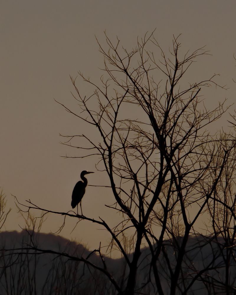 Photograph by Николай Шарлай