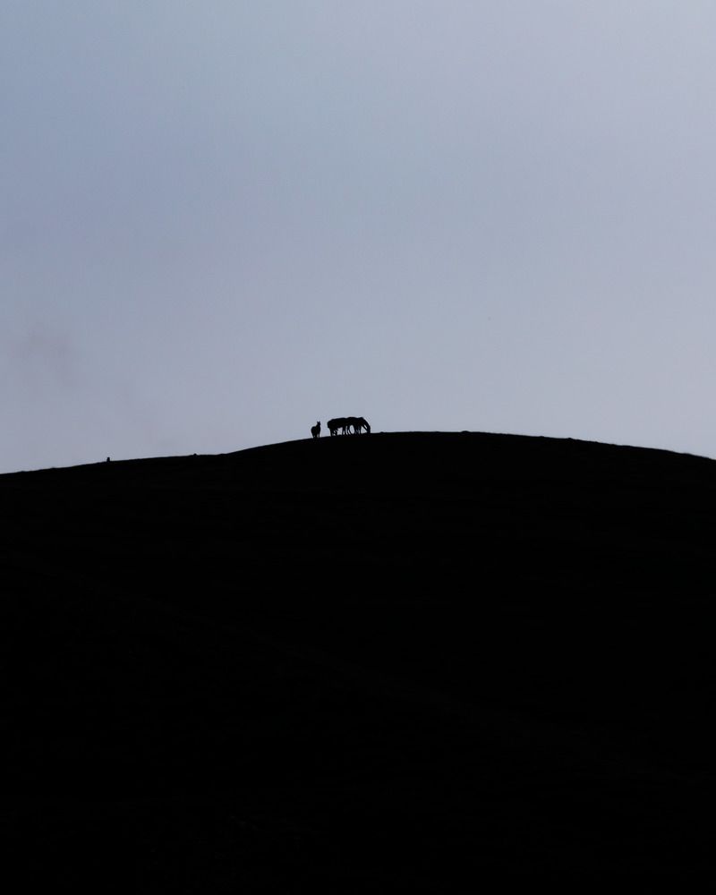 Photograph by Николай Шарлай