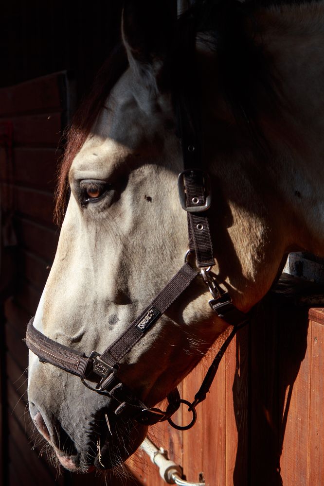 Photograph by Нелли Золотая