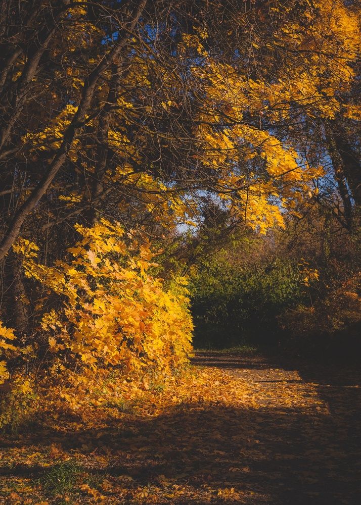 Photograph by Olga Snai