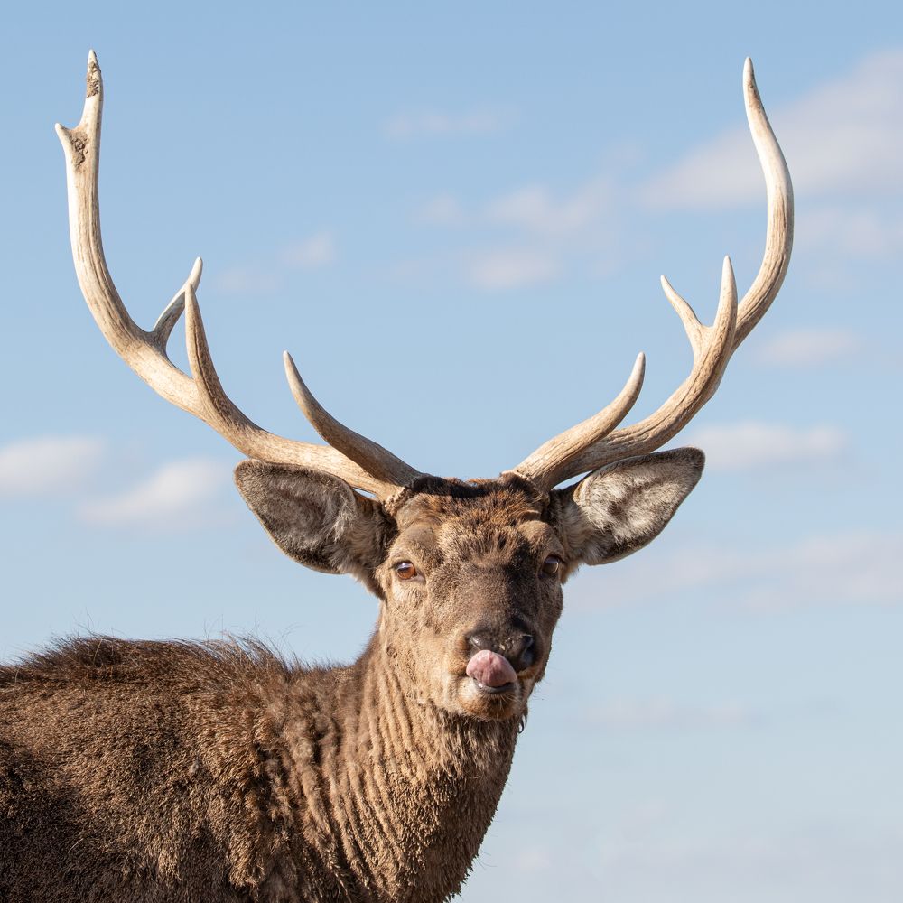 Photograph by Николай Шарлай