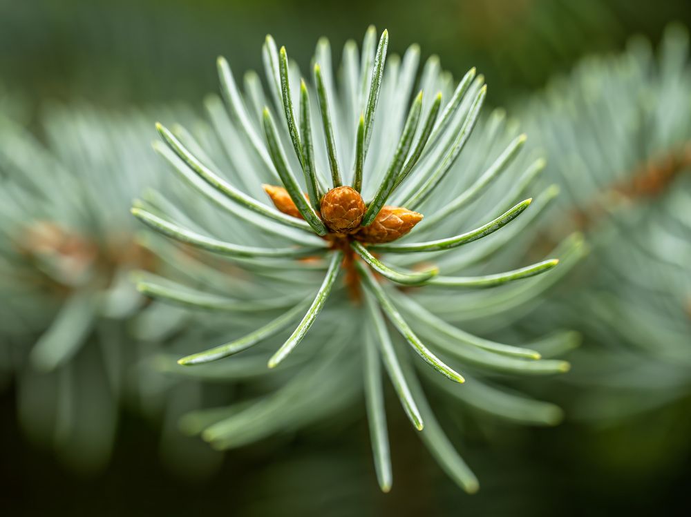 Фотография автора Erik Nelson