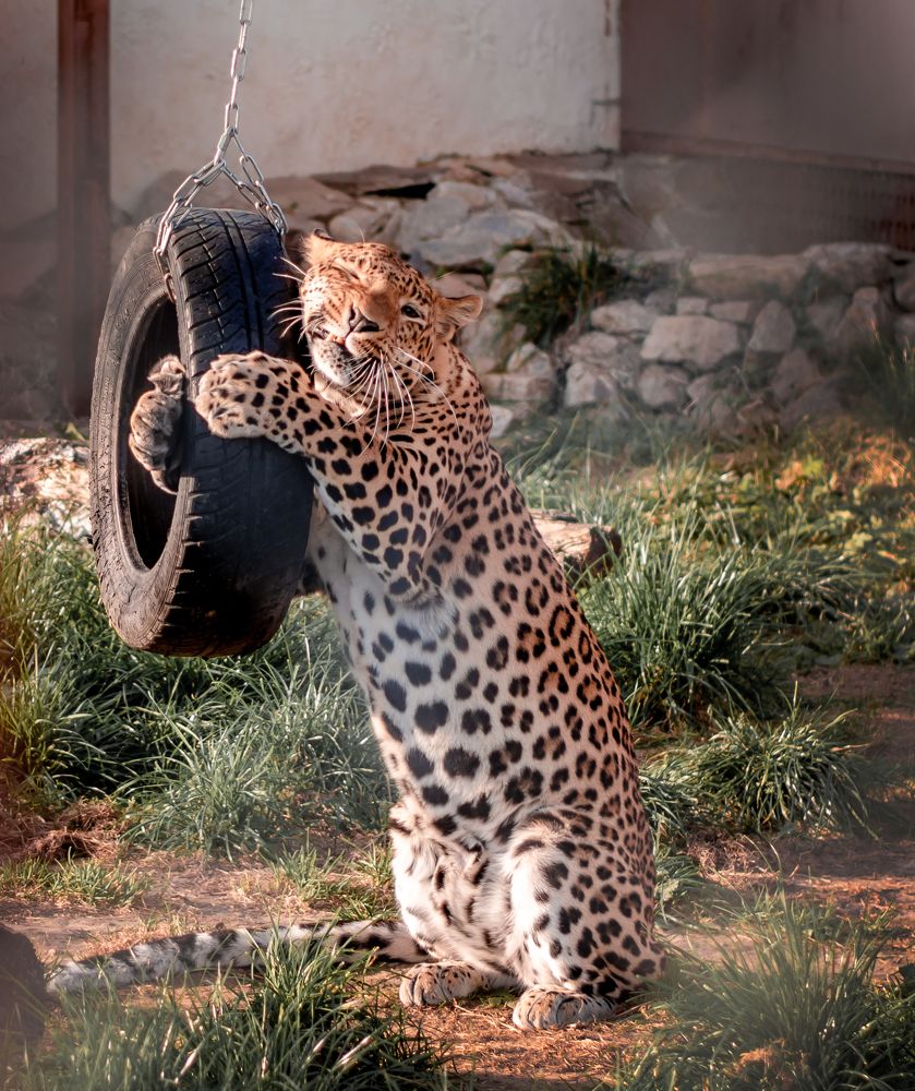 Photograph by Екатерина Лебедева