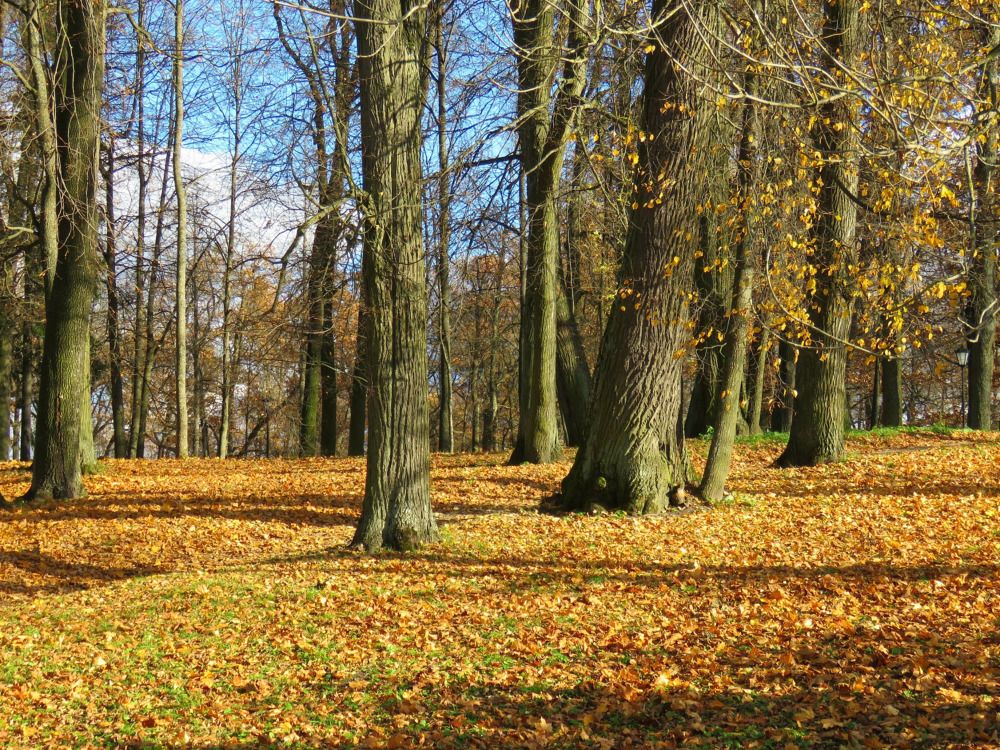 Photograph by Валерия