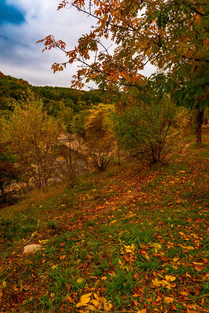 Фотография автора Дмитрий Referee
