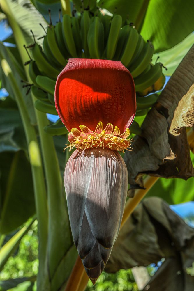 Photograph by Sergey Uskov