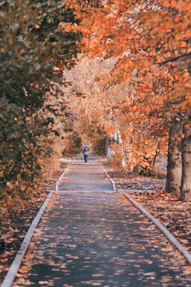 Photograph by Дмитрий Солодухин