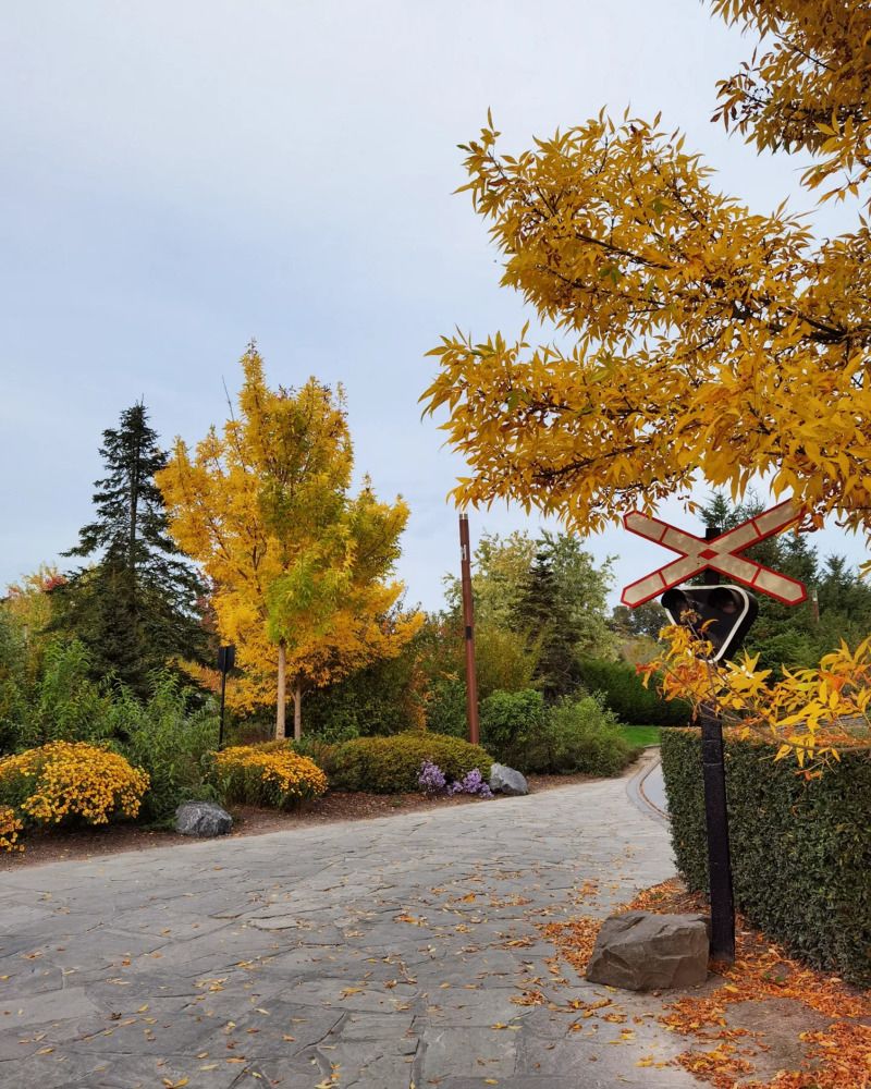 Фотография автора Victoria Vaigant