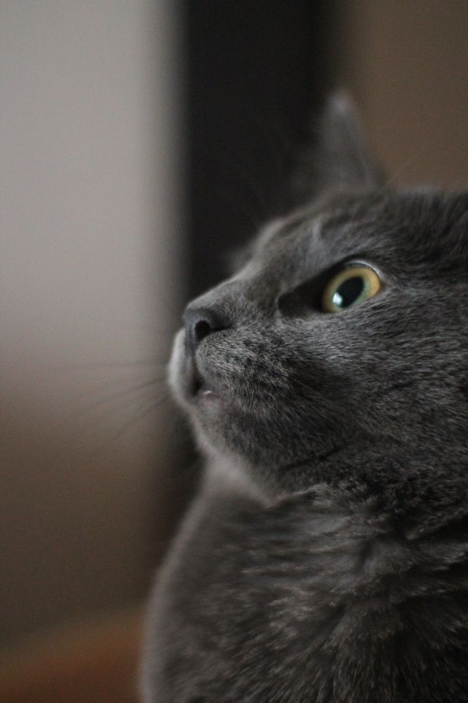 Photograph by Оксана Михайлова