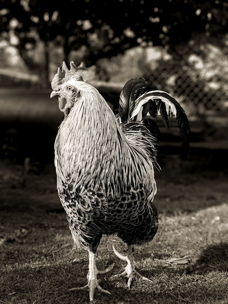 Photograph by Елена Шуть