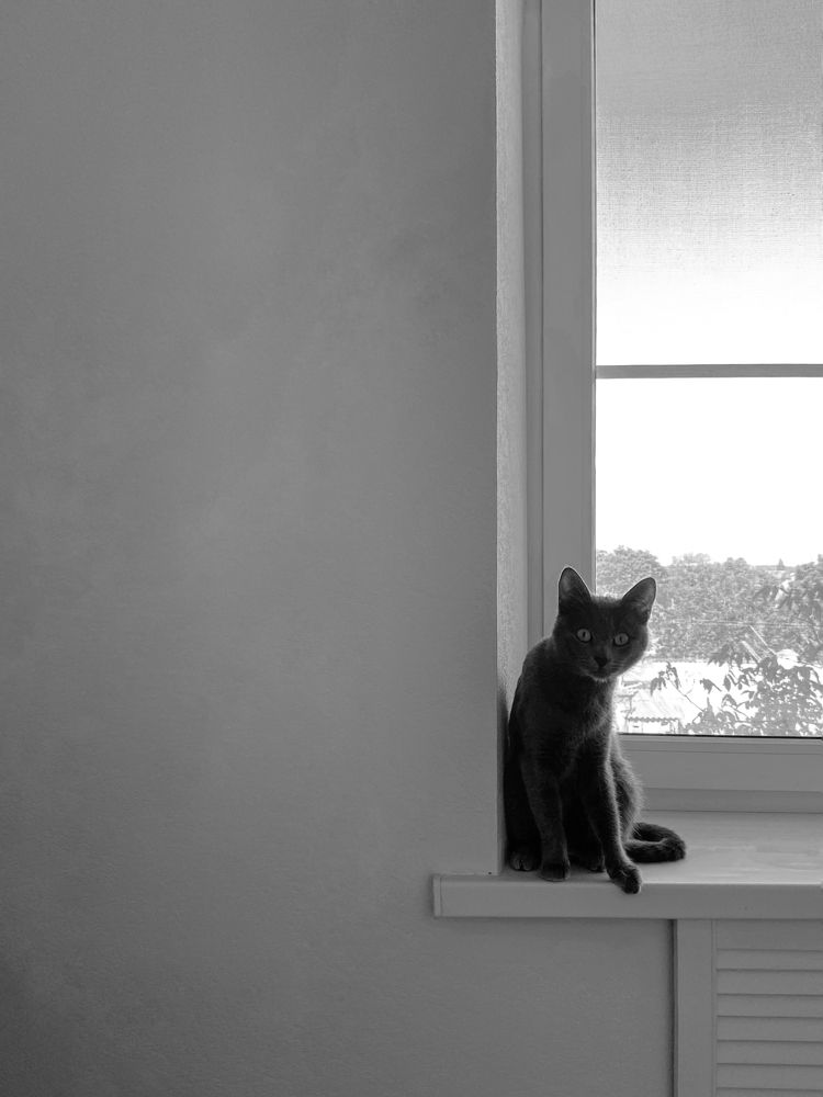 Photograph by Оксана Михайлова