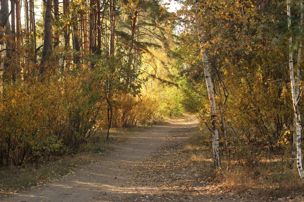 Photograph by Жанна Мещерякова