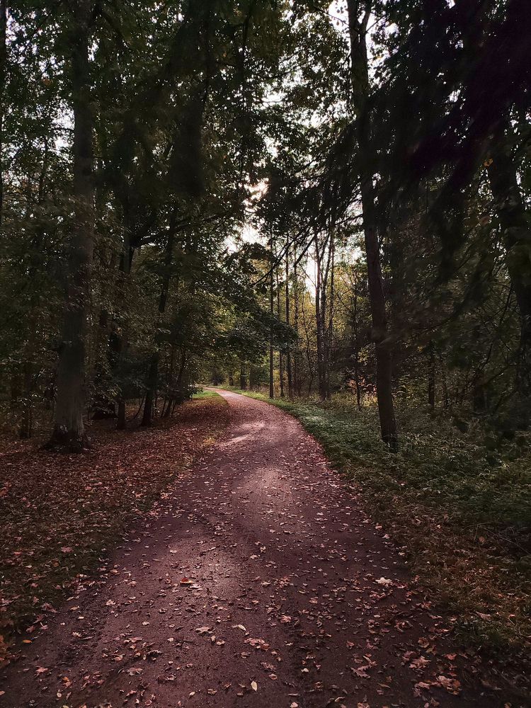 Фотография автора Мария Филиппова