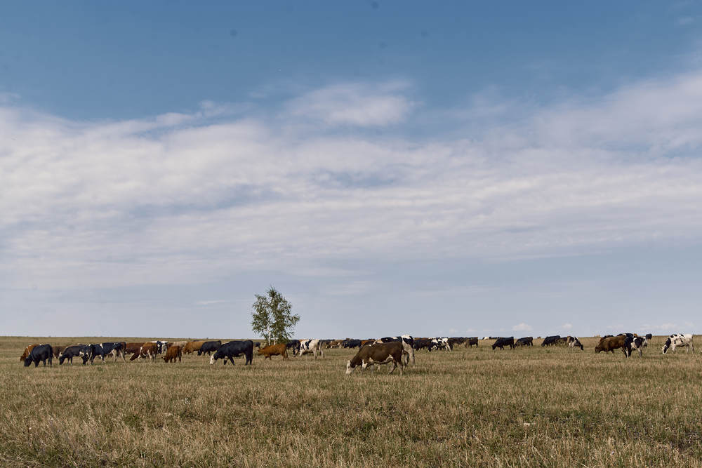Photograph by Евгения Кутоманова