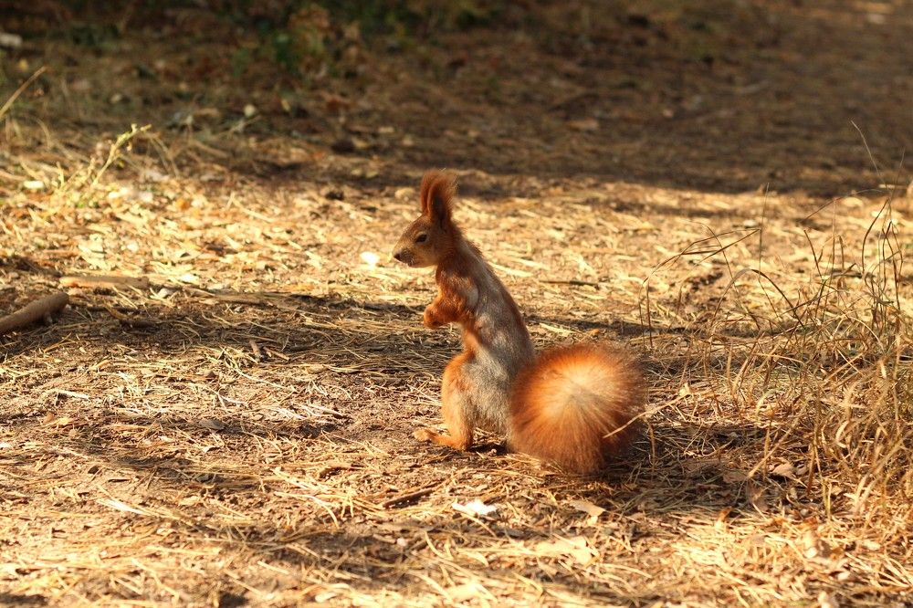 Photograph by Жанна Мещерякова