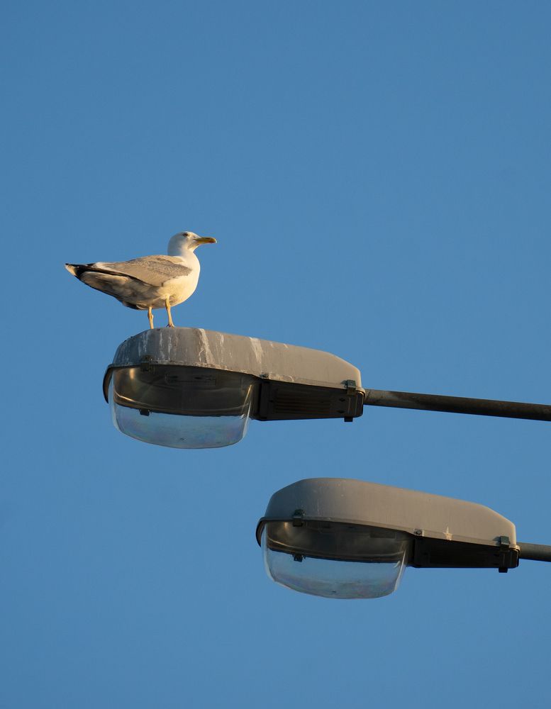 Photograph by Aleksandr Kolonsky