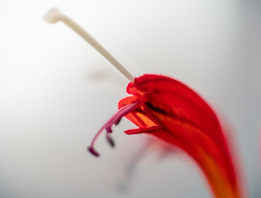 Photograph by Максим Кольцов