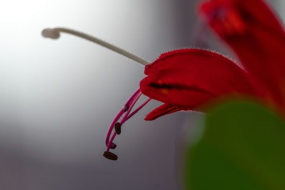 Photograph by Максим Кольцов