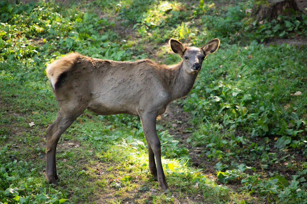 Photograph by Алексей Борисов
