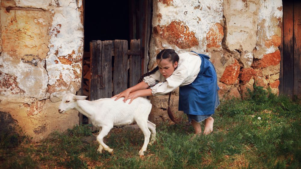 A goat and a girl
