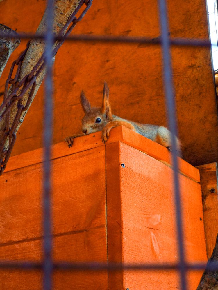 Photograph by Анастасия Селява