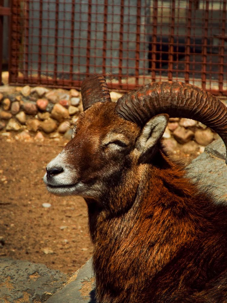 Photograph by Анастасия Селява