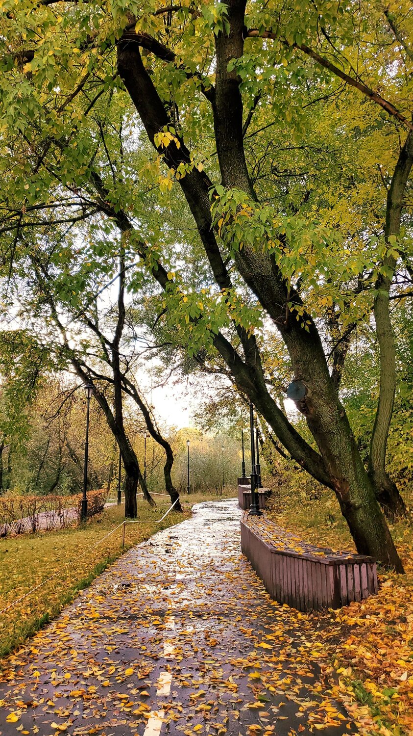 Photo #9670950