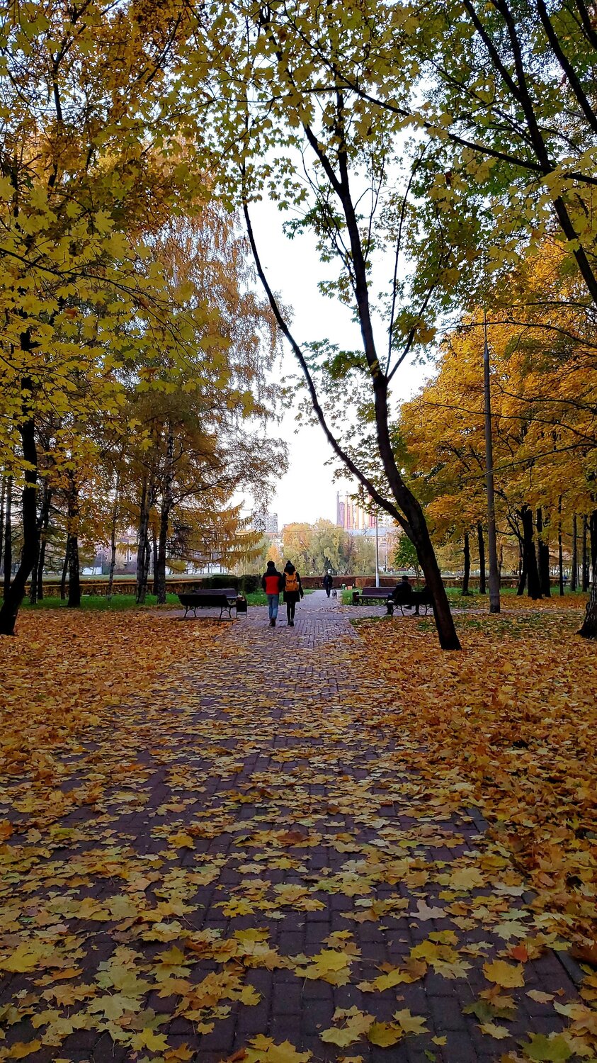 Photo #9670952