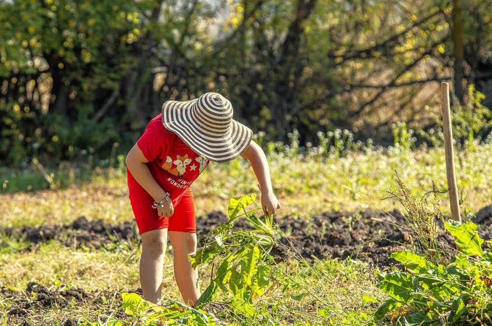 Photograph by Алексей Сиваков