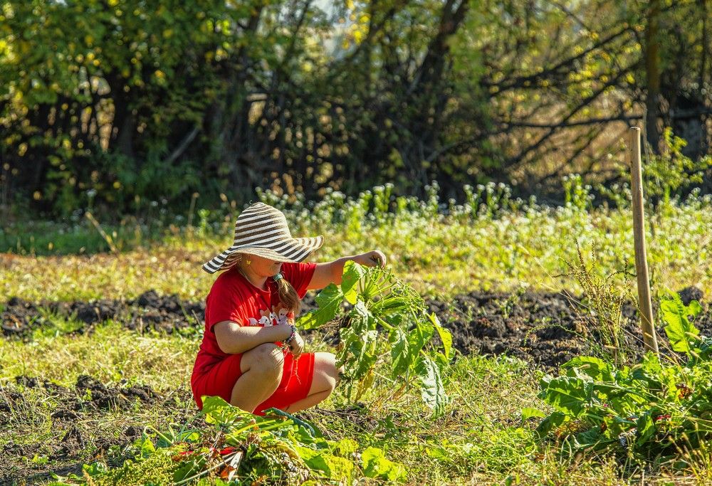 Photograph by Алексей Сиваков