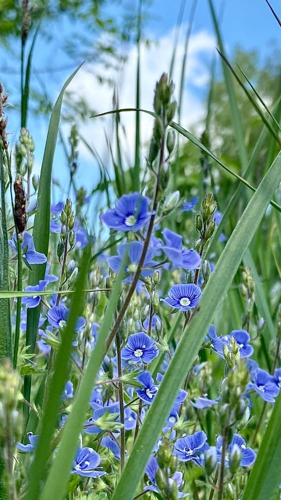 Фотография автора Евгения Казакова